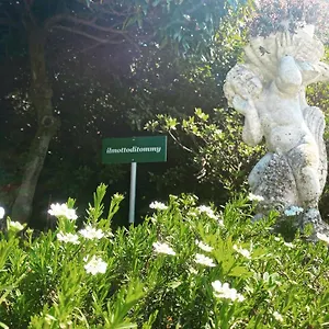 Il Motto Di Tommy Bed & Breakfast